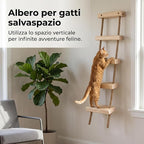 with Shelves for Climbing and Play, Large Jumping Platform