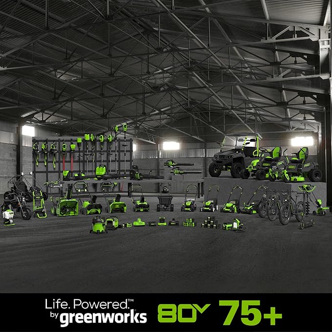 Greenworks 80V 18" Brushless Cordless Chainsaw (Great For Tree Felling, Limbing, Pruning, and Firewood) / 75+ Compatible Tools), 2.0Ah Battery and Rapid Charger Included