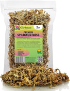 Premium Grade Sphagnum Moss by Gardenera - Organic Hand Mixed New Zealand Long Fibered Sphagnum Moss Orchid - 2 Quart