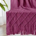 inhand Knitted Throw Blanket for Couch and Bed, Soft Living Room Home Decor Knitted Blanket with Tassel, Outdoor Lightweight Breathable Summer Blanket, Farmhouse Warm Woven Decorative, 50"x60"