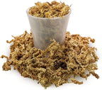 Premium New Zealand Sphagnum Moss by Gardenera - Organic Hand Mixed Long Fibered Sphagnum Moss Orchid - 5 Quart