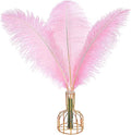 THARAHT 12PCS Ostrich Feathers Natural Bulk 16-18Inch(40-45cm) for Wedding Party Centerpieces Easter Gatsby Flower Arrangement and Home Decorate Ostrich Feathers,Pink