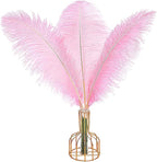 THARAHT 12PCS Ostrich Feathers Natural Bulk 16-18Inch(40-45cm) for Wedding Party Centerpieces Easter Gatsby Flower Arrangement and Home Decorate Ostrich Feathers,Pink