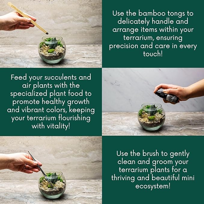 Cute Farms Terrarium Starter Kit | Moss, Vermiculite, Soil, Pebbles, Plant Food, Finishing Tools, Build and Care Guide | DIY Succulent Terrarium for Adults and Kids (Medium)