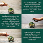 Cute Farms Terrarium Starter Kit | Moss, Vermiculite, Soil, Pebbles, Plant Food, Finishing Tools, Build and Care Guide | DIY Succulent Terrarium for Adults and Kids (Medium)