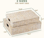 Set of 2 Decorative Storage Boxes With Lids for Home Decor, Shelves