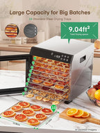 FOHERE Food Dehydrator 1000W 10 Trays with Digital Timer 176 Degrees | Large 9.04 square foot drying space with light. For dog treats, herbs, meat, fruit and yogurt.