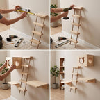 with Shelves for Climbing and Play, Hard Ladder
