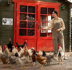 Funny Gifts for Women Chicken Lovers Farm Enthusiasts An Old Rooster And A Cute Chick Live Here Chicken Tin Sign for Chicken Coop Farm Kitchen Garden Yard Decor 8 X 12 Inch (3821)