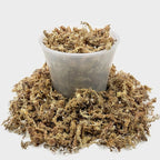 Gardenera Sphagnum Moss Potting Mix for Carnivorous Plants, Moss and Perlite Blend for Potting Venus Fly Traps, Sarracenia, Pitcher Plants - Sphagnum Moss & Perlite - Made in USA - 10 Quart