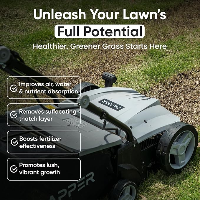 13-Inch 2-in-1 Electric Dethatcher and Scarifier Lawn Dethatcher with 8-Gallon Removable Thatch Collection Bag, 4-Position Depth Adjustment, 12 Amp, Quick-Fold, Keeps Lawn Healthy