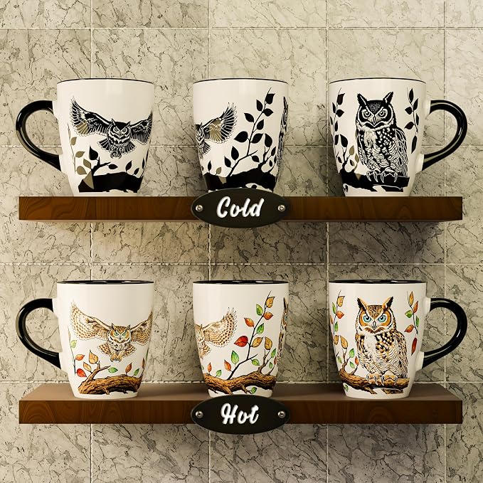 Color Changing Owl Coffee Mug 12oz – Heat Sensitive Ceramic Cup with Floral Reveal – Gifts for Owl Lovers, Unique Coffee Mugs for Women, Christmas Holiday Gift, Perfect for Coffee, Tea or Cocoa