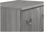 Saratoga 2-Drawer Lateral File Cabinet, Locking, Letter/Legal, Modern Gray, 26.85-Inch
