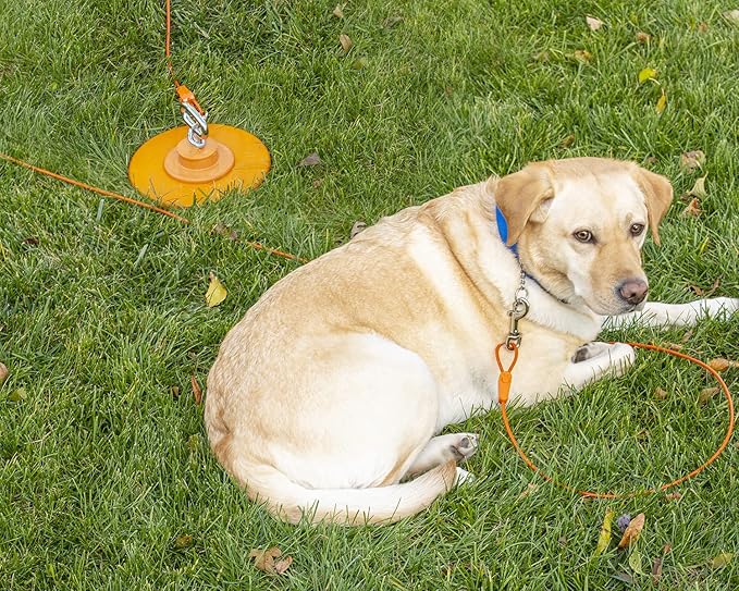 IntelliLeash 20FT Tie-Out Cables for Dogs - Strong, Safe, and Durable Dog Tie-Outs for Small Dogs up to 90 Pounds - Weather and Wear Resistant Galvanized Aircraft Cable for Outside Use