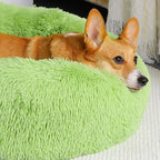 WESTERN HOME WH Calming Dog Bed & Cat Bed, Anti-Anxiety Donut Dog Cuddler Bed, Warming Cozy Soft Dog Round Bed, Dog Cat Cushion Bed for Small Medium Dogs and Cats