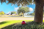 Lulu Decor, 12 Red Matt Finish, Stainless Steel Gazing Mirror Ball, Smooth Finish Garden Decoration Globe
